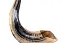 Sale of Shofar Horn and Kippah